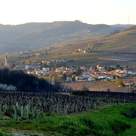 Au Coeur Des Vignes Chenas Du Beaujolais Apartman La Chapelle-de-Guinchay Kültér fotó