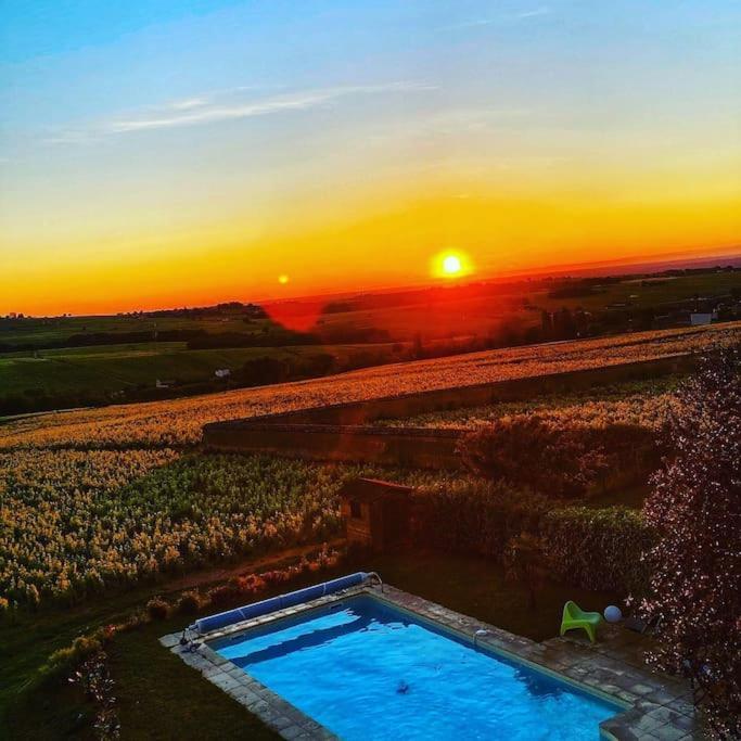 Au Coeur Des Vignes Chenas Du Beaujolais Apartman La Chapelle-de-Guinchay Kültér fotó