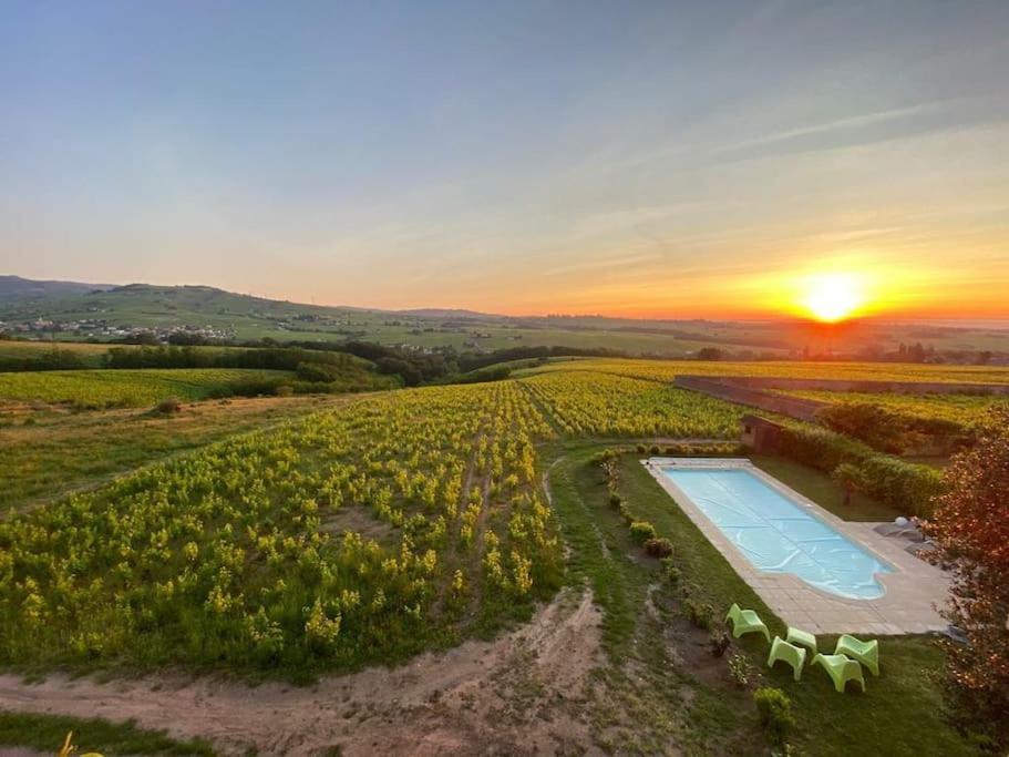 Au Coeur Des Vignes Chenas Du Beaujolais Apartman La Chapelle-de-Guinchay Kültér fotó