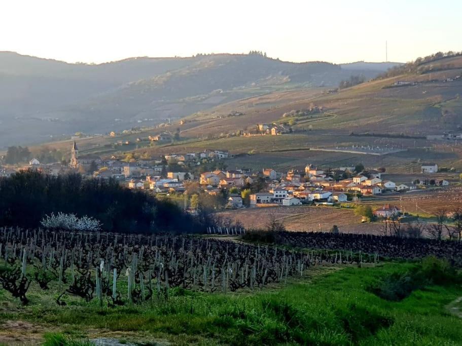 Au Coeur Des Vignes Chenas Du Beaujolais Apartman La Chapelle-de-Guinchay Kültér fotó